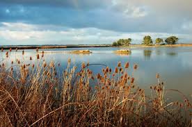 art-classes-on-blue-lake-landscape1