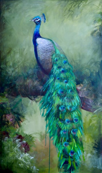 Caspian-peacocks